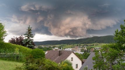 Vorhersage