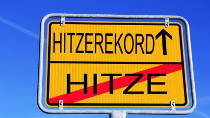 Vorhersage