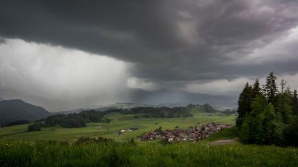 Vorhersage