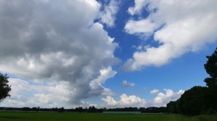 Vorhersage