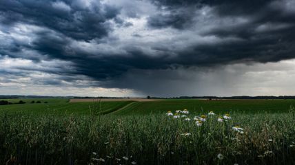 Vorhersage