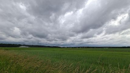 Vorhersage