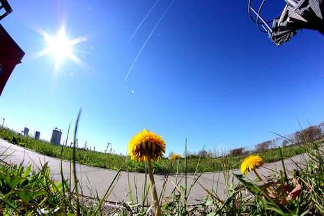 Frühling an der Wetterwarte Rheinstette