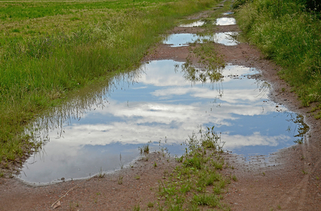 Deutschlandwetter im Juli - viel Regen