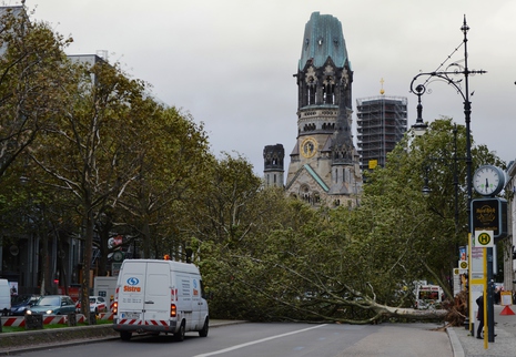 Umgestürzte Bäume vor der Berliner Gedächtniskirche durch Sturmtief Xavier