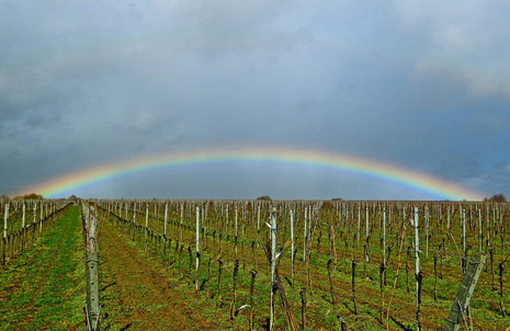 Regenbogen