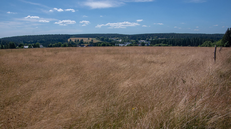 Trockenheit Neuhaus am Rennweg / Thüringen 