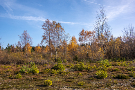 Herbst 