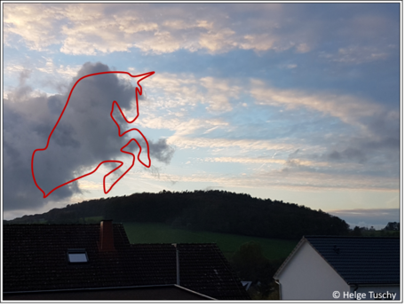 Aufnahme einer Wolke, die wie ein Einhorn aussieht. (Quelle Helge Tuschy)