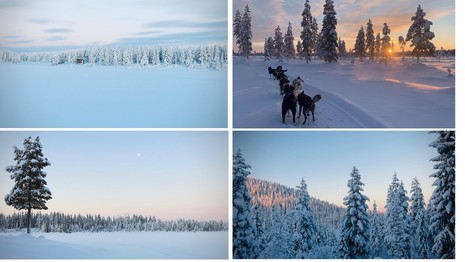 Landschaftsbilder aus Lappland