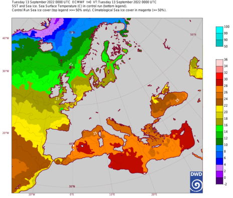Meeresoberflächentemperatur in °C unter Verwendung von Farbschattierungen mit Intervallen von 2°C. (Quelle ECMWF)