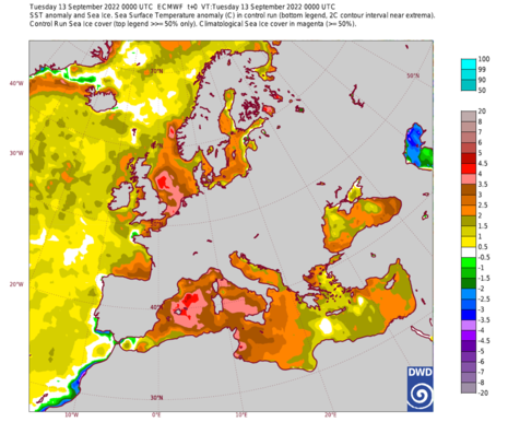 Anomalie der Meeresoberflächentemperatur in °C unter Verwendung von Farbschattierungen mit variablen Intervallen. (Quelle ECMWF)