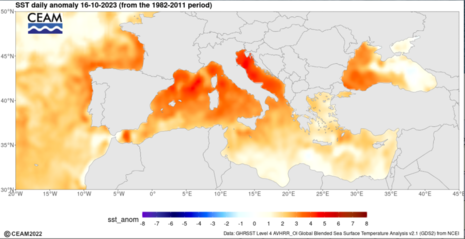 Abweichung der Meeresoberflächentemperatur Mitte Oktober im Vergleich zum langjährigen Mittel (1982-2011) (Quelle Mediterranean Center for Environmental Studies (CEAM) mit Daten des Physical Oceanography Distributed Active Archive Center (PODAAC) )
