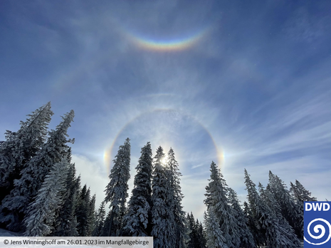 Das Bild zeigt eine hinter schneebedeckten Nadelbäumen verstecke Sonne, die verschiedene Haloerscheinungen hervorbringt. (Quelle Jens Winninghoff, DWD)