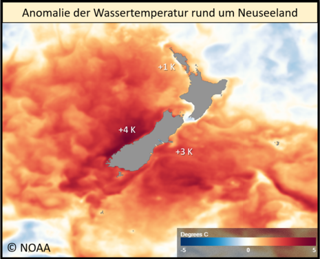 Zu sehen ist die Anomalie der Wassertemperatur im Vergleich zu den vieljährigen Mittelwerten. In großen Bereichen rund um die beiden Hauptinseln von Neuseeland sieht man deutlich wärmere Wassertemperaturen, als im Durchschnitt.