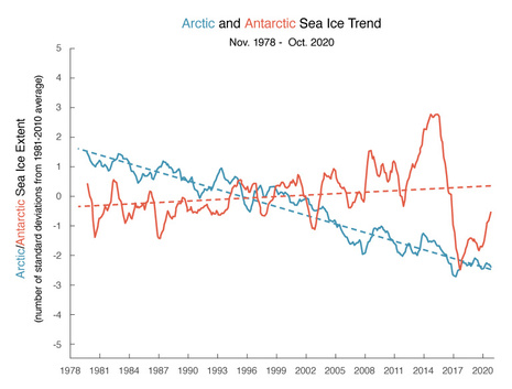 Gleitende 12-monatige Mittelwerte (durchgezogene Linie) und Gesamttrend (gepunktet) für die Arktis (blau) und die Antarktis (rot). Einheit der Ausdehnung als Standardabweichungen vom Mittel 1981-2010. (Quelle National Snow and Ice Data Center)