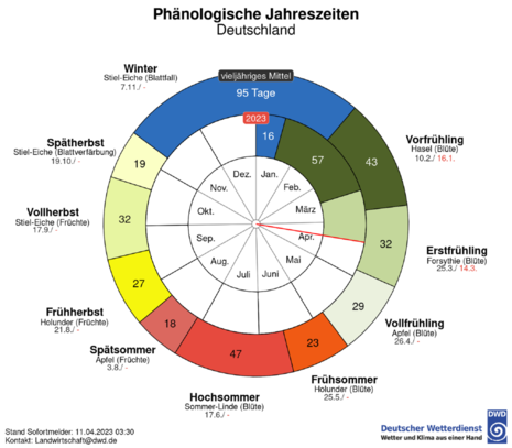 Phänologische Uhr Deutschland mit Stand vom 11.04.2023 (Quelle https://www.dwd.de/DE/leistungen/phaeno_uhr/phaenouhr.html)