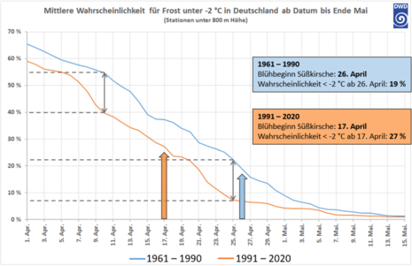 Mittlere Wahrscheinlichkeit für Luftfrost unter -2 °C in Deutschland nach dem in der x-Achse angegebenen Datum für die Zeiträume 1961-1990 und 1991-2020.