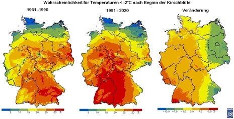 Regionale Unterschiede der Wahrscheinlichkeit für Temperaturen unter -2 °C nach Beginn der Kirschblüte für die Zeiträume 1961-1990 und 1991-2020 sowie die prozentuale Veränderung zwischen diesen beiden Zeiträumen.