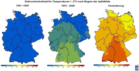 Regionale Unterschiede der Wahrscheinlichkeit für Temperaturen unter -2 °C nach Beginn der Apfelblüte für die Zeiträume 1961-1990 und 1991-2020 sowie die prozentuale Veränderung zwischen diesen beiden Zeiträumen.