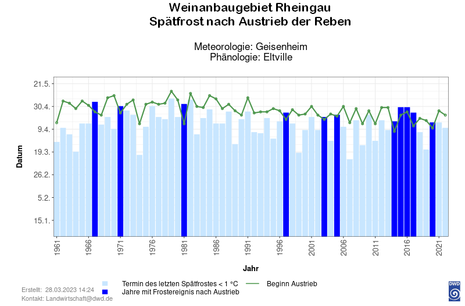 Spätfrost nach Austrieb der Reben im Weinanbaugebiet Rheingau. Meteorologie: Geisenheim, Phänologie: Eltville.