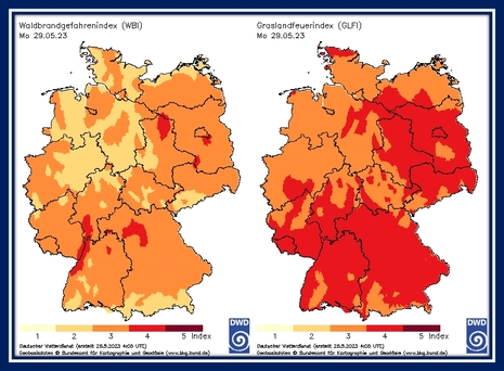 Waldbrandgefahren-Index (WBI) und Graslandfeuerindex (GLFI) am Montag, 29.05.2023 (Quelle Deutscher Wetterdienst)