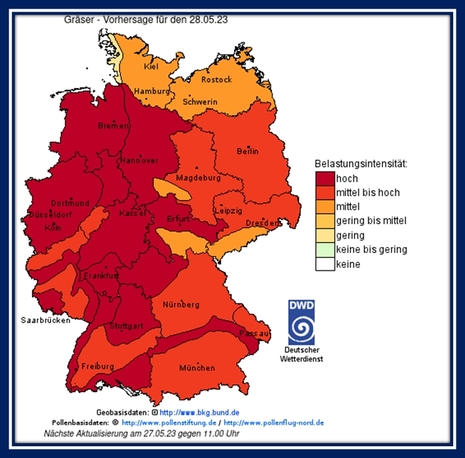 Pollenflugvorhersage für Gräser für Sonntag, 28.05.2023 (Quelle Deutscher Wetterdienst)