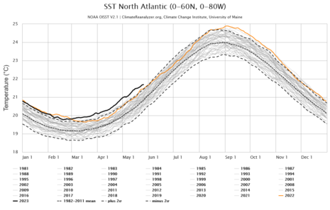 Jahresverlauf der flächengemittelten Temperatur für den Nordatlantik seit 1981. (Quelle https://climatereanalyzer.org/clim/sst_daily/)