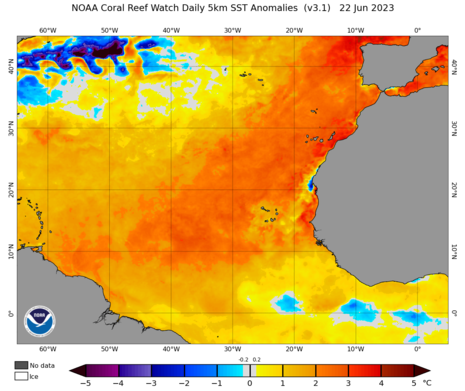 Anomalien der Meeresoberflächentemperatur im nördlichen tropischen Atlantik (Quelle https://coralreefwatch.noaa.gov/product/5km/index_5km_ssta.php)