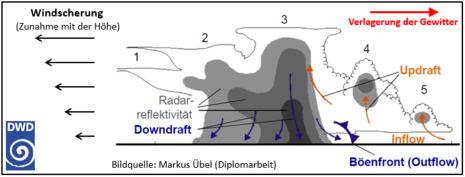 Schematische Darstellung einer Multizelle (Quelle DWD - Deutscher Wetterdienst(Markus Übel))