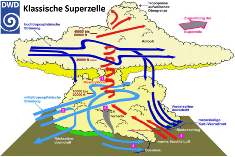 Schematische Darstellung einer klassischen Superzelle (Quelle DWD)