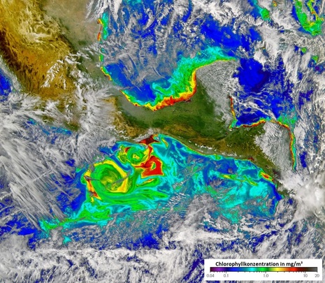Das Satellitenbild ist in Falschfarben dargestellt, sodass die Chlorophyllkonzentration in der Bucht von Tehuantepec vor Mexiko sichtbar wird. Zu sehen sind hohe Konzentrationen in dunkelrot und geringe Konzentrationen in hellblau.