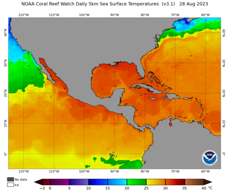 Meeresoberflächentemperatur im Golf von Mexiko und der Karibischen See (Quelle NOAA)