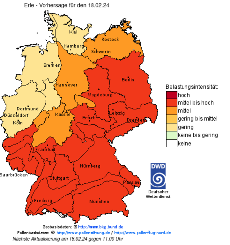 Pollenflug-Gefahrenindex für Hasel