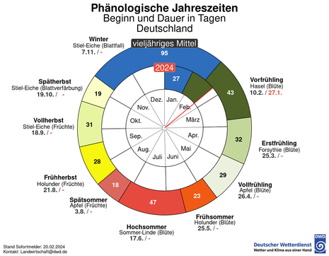 Phänologische Uhr 2024 mit phänologischen Jahreszeiten, Stand: 20.02.2024 (Quelle Deutscher Wetterdienst)