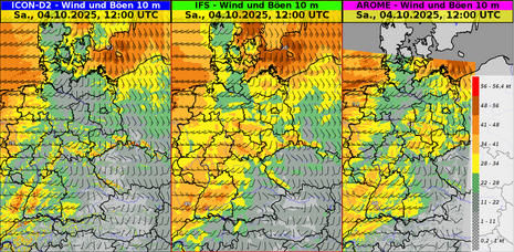 Von drei verschiedenen Modellen vorhergesagte maximale Windböen am Samstagmittag
