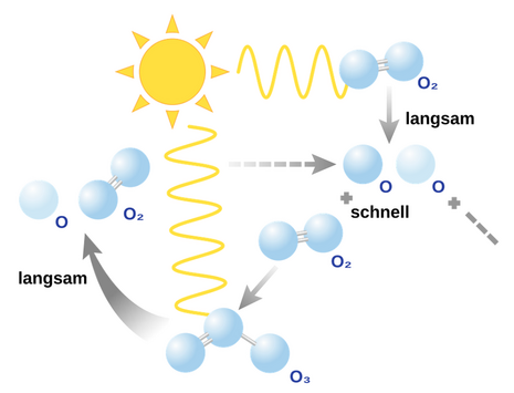 Abb. 1: Schematische Darstellung des Chapman-Zyklus.