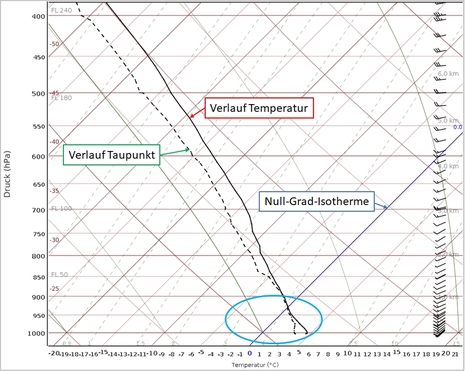 Modellaufstieg im Norden Schleswig-Holsteins für den 19.11.2025, 5 Uhr (MEZ). (Quelle:DWD)