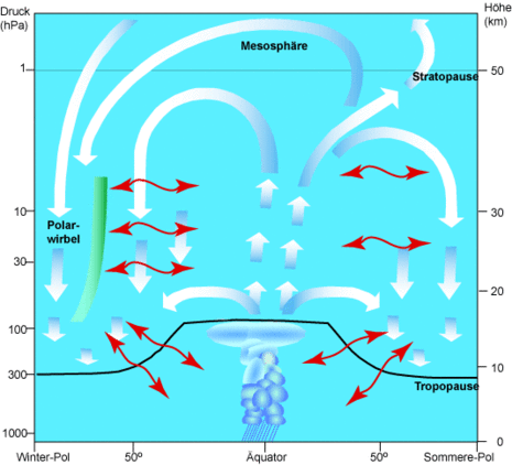 Abb. 1: Schematische Darstellung der Brewer-Dobson-Zirkulation.
