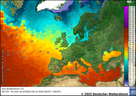 Meeresoberflächentemperaturen am Donnerstag, 04.12.2025, 00 UTC