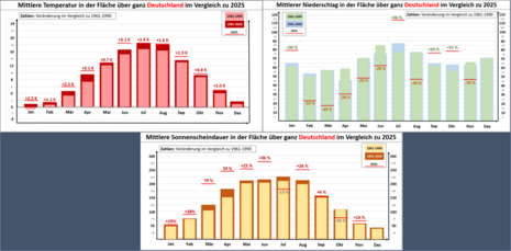 Im Bild ist der Jahresverlauf der Temperatur, des Niederschlags und der Sonne im Vergleich zu den Klimareferenzperioden 1961 bis 1990 und 1991 bis 2020 zu sehen.