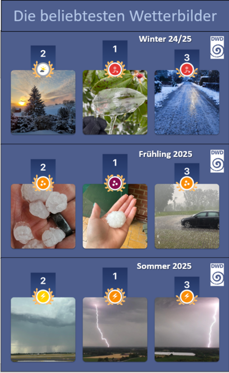 Man sieht in der Darstellung die jeweils drei am besten bewerteten Bilder aus Nutzermeldungen für den Winter 2024/25, das Frühjahr 2025 und den Sommer 2025.