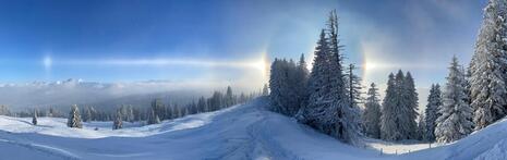 Abb 1: Eisnebelhalos am Furggelenstock, aufgenommen am 22. November 2025