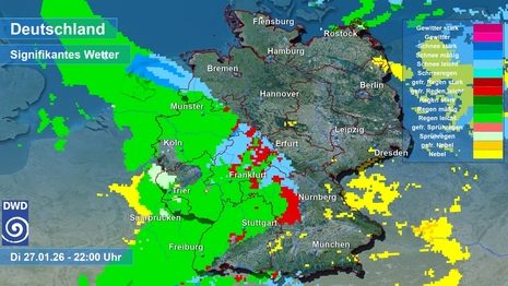 Prognose der Niederschlagsart für den 27.01.2026, 22 Uhr (ICON-D2).