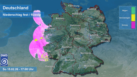 Animierte Niederschlagsart von Sonntagabend, 15. Februar 2026 bis Montagvormittag, 16. Februar 2026. Schnee in pink, Schneeregen in gelb und Regen in grün. ( Quelle: DWD)