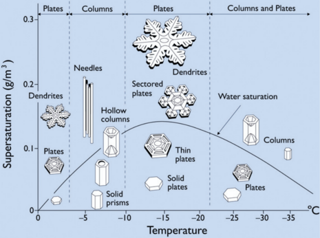 Schneekristallmorphologie im Nakaya-Diagramm. Auf der horizontalen Achse aufgetragen ist die Temperatur in Grad Celsius, auf der vertikalen Achse ist die Wasserdampf-Übersättigung in Gramm pro Kubikmeter dargestellt. Die schwarze gebogene Linie stellt die