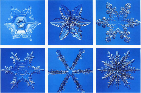 Mikrofotografien natürlicher Schneekristalle von Yoshinori Furukawa auf der Insel Hokkaido, Japan. ( Quelle: 