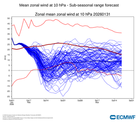 Ensemblevorhersage des zonalen Windes in 30 Kilometer Höhe. Es verdichten sich die Anzeichen eines Polarwirbelsplits ab der zweiten Februardekade.