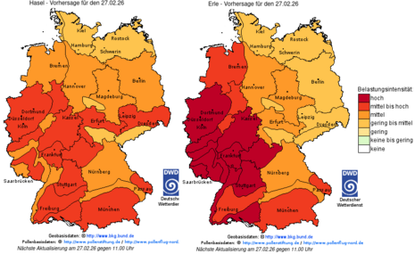 Pollenflugvorhersage für Hasel und Erle für den 27.02.2026 (Quelle:DWD)