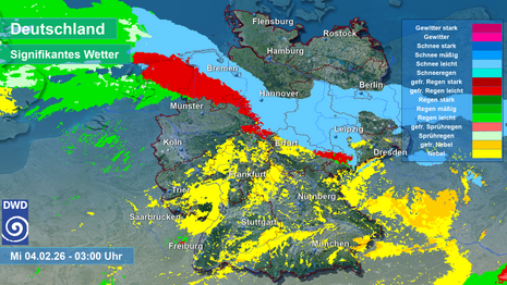 Modellausgabe des signifikanten Wetters des deutschen ICON Modells (9 UTC Lauf) für kommende Nacht 3 Uhr. Quelle: Deutscher Wetterdienst